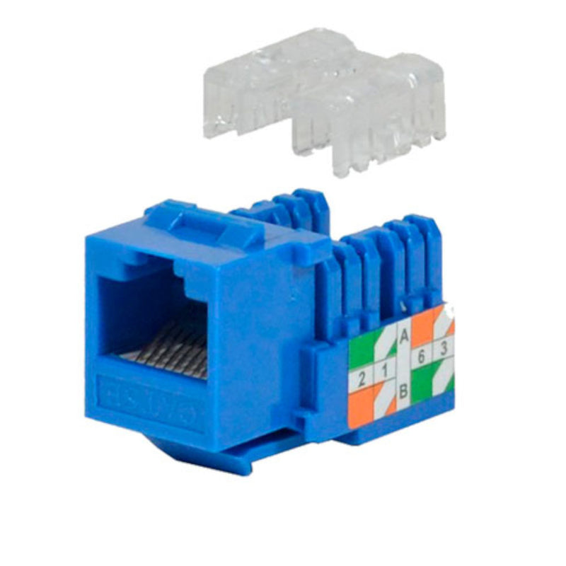 Keystone Jack Coupler Para RJ45 CAT5E WIREPLUS Azul