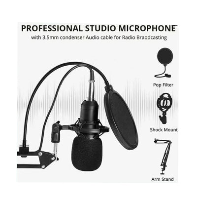 Microfono Condensador Profesional Usb Estudio Podcast